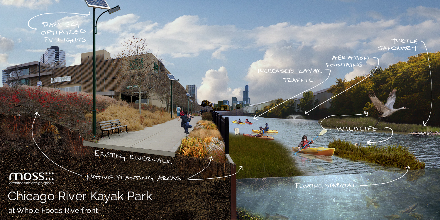Reclaiming the Chicago River a MusselInspired Kayak Park for North