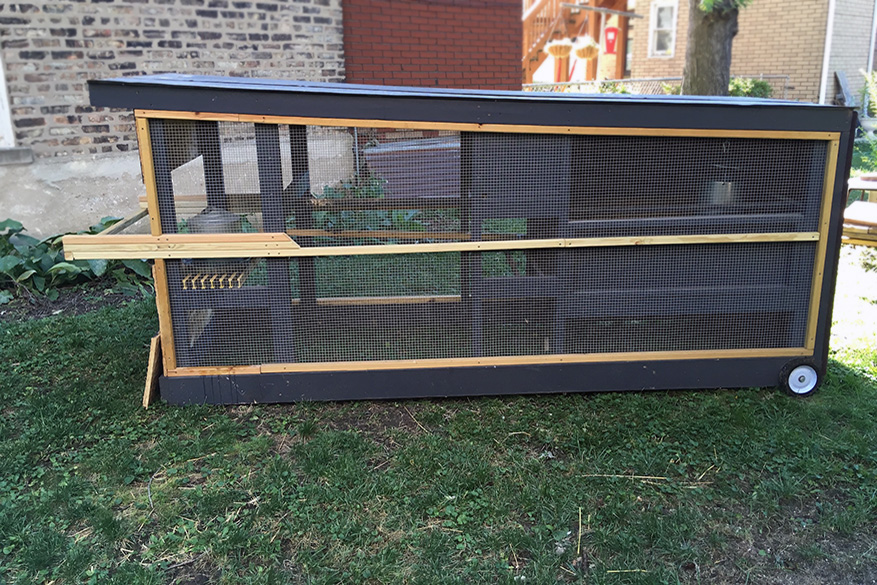 Backyard Chickens Coop Design Chicken Tractor Moss Architecture