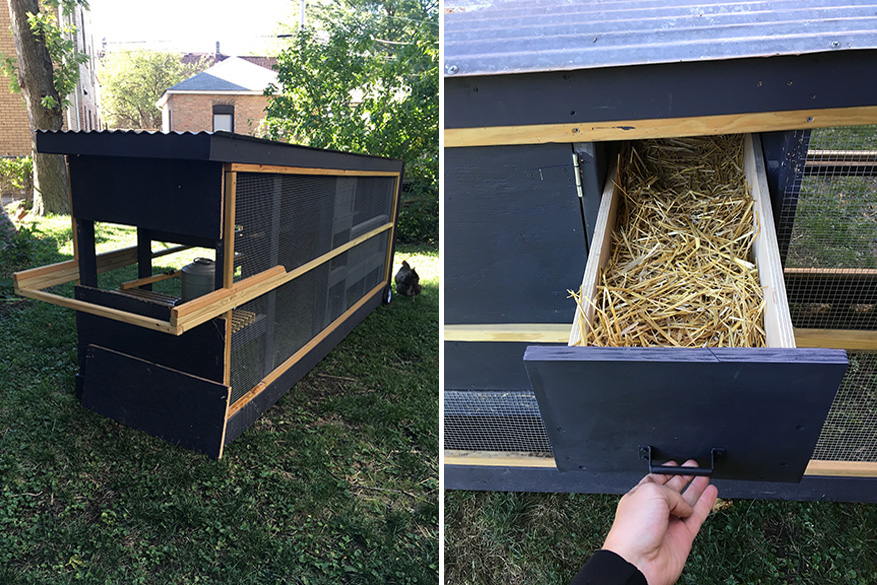 Backyard Chickens Coop Design Chicken Tractor Moss Architecture