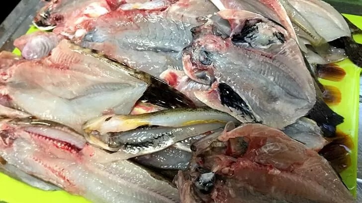 釣った魚は手作り干物に！塩干し・みりん干し・ウイスキー干し
