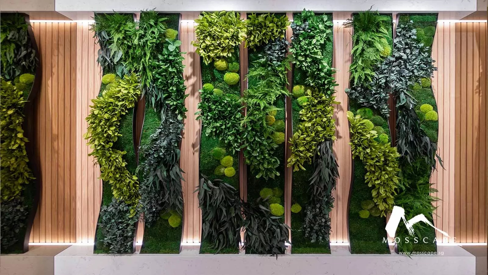 Different Types of Vertical Green Walls in Singapore Mosscape
