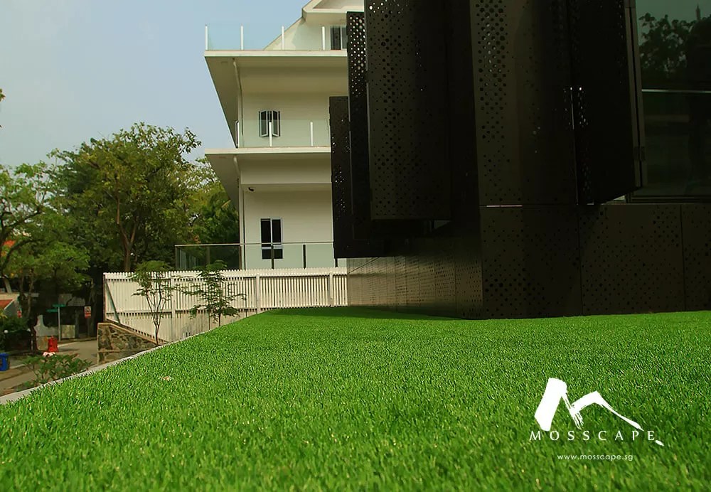 Synthetic Turf Singapore NonInfill & MaintenanceFree