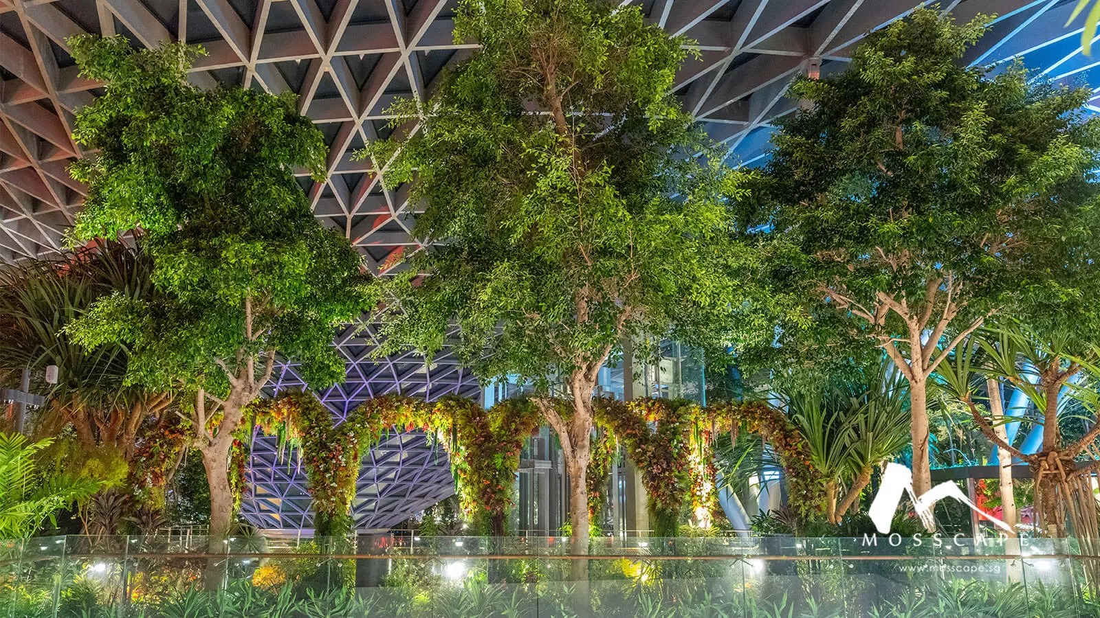 Creating Indoor Vertical Gardens at Jewel Changi Singapore