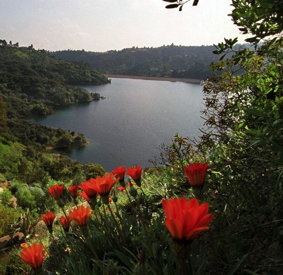 Selkirk Lane Mossler Properties
