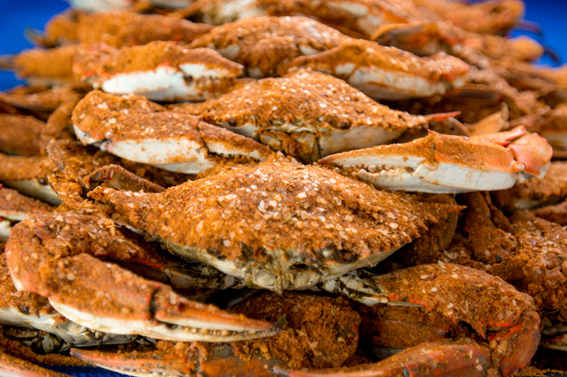 Baltimore’s Best Blue Crabs