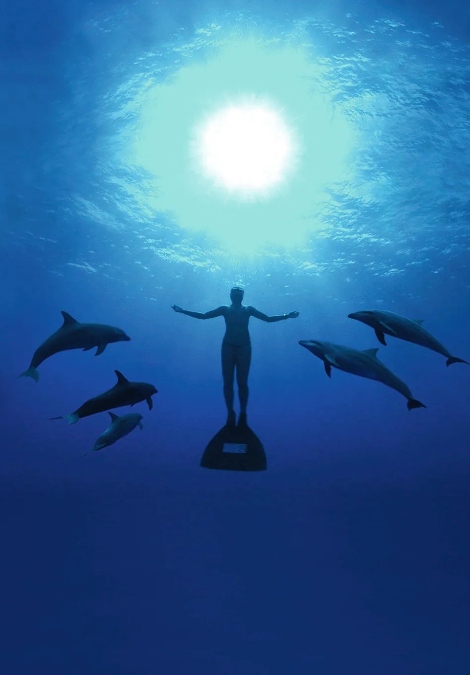 Top 10 Deepest freediving world records