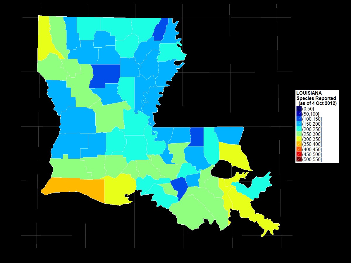 louisiana Mostly Birds