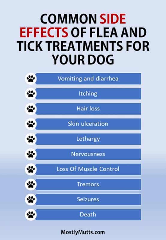 How to Get Rid of Fleas Naturally MOSTLY MUTTS