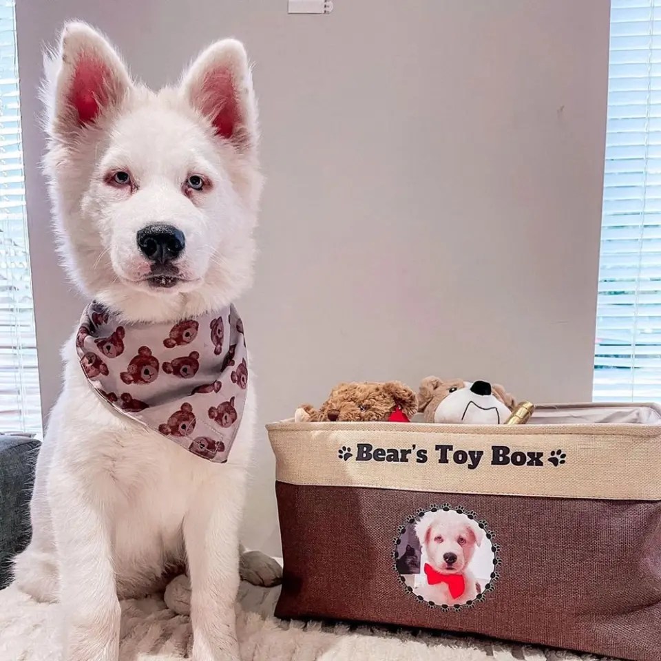 Mostly Paws™ Personalized Dog Toy Box MostlyPaws