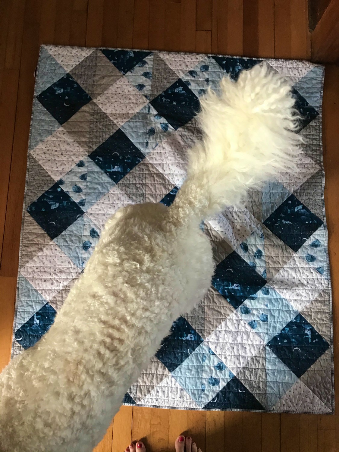 Gingham Daydream Quilt