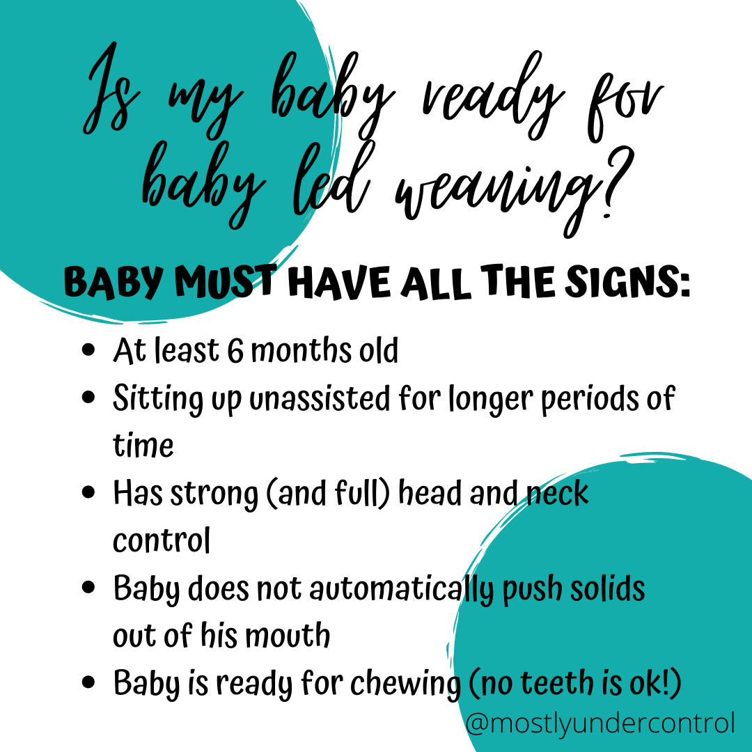 Baby led weaning tips start here! Mostly Under Control