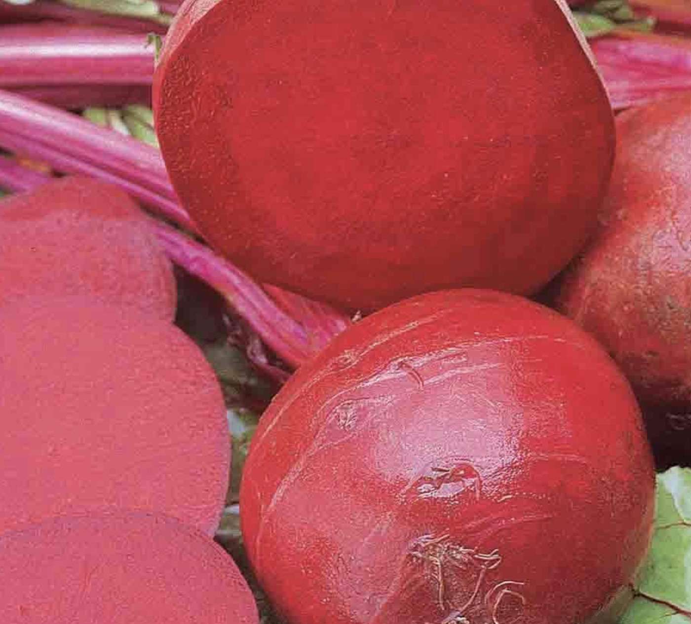 BEETROOT Ruby Queen seed Best beetroot seeds online