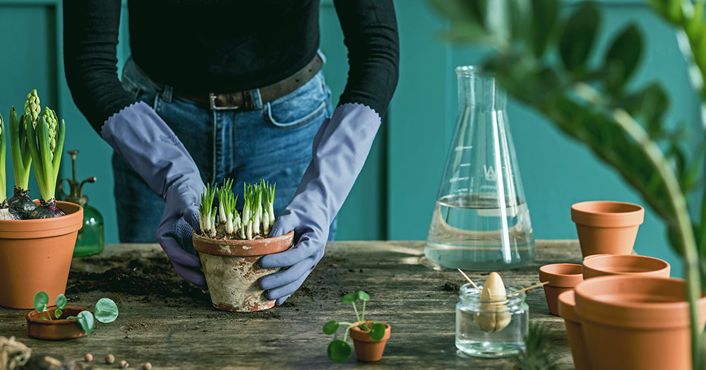 Mother Nature Planting Fall Bulbs in Containers