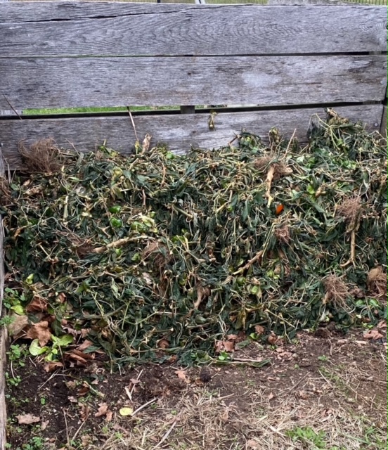 How to Compost During the Winter Months in Cold Climate 2021 Guide