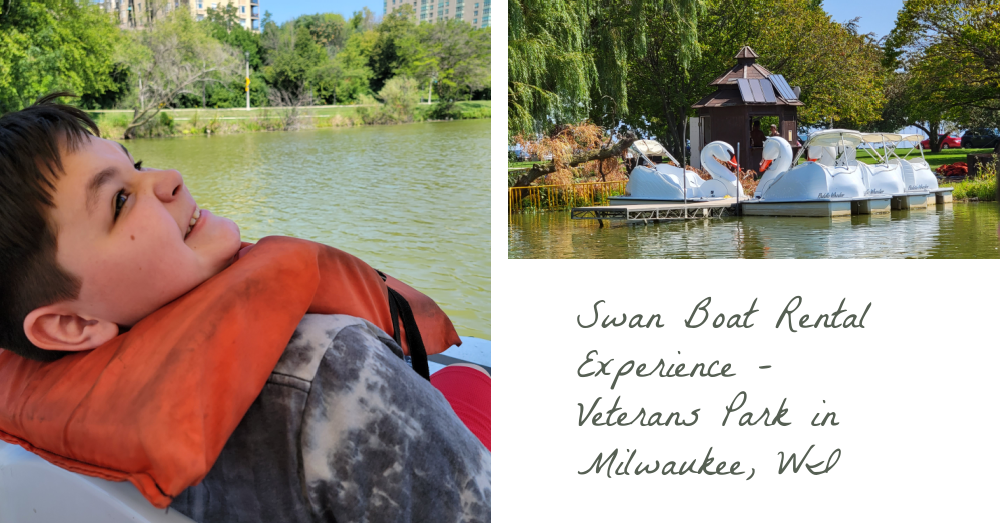 Swan Boat Rental Experience Veterans Park in Milwaukee, WI