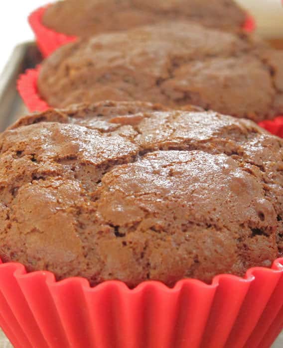 jumbo chocolate muffins
