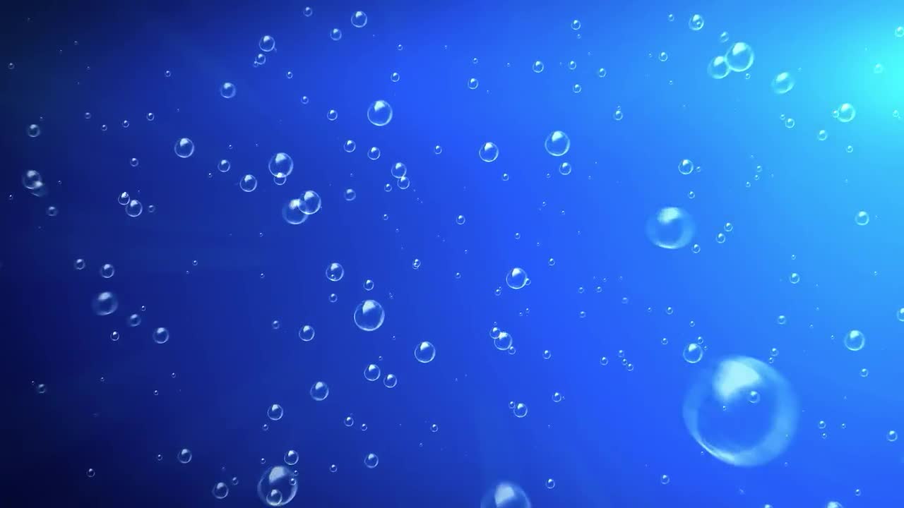 Rising Bubbles Stock Motion Graphics Motion Array