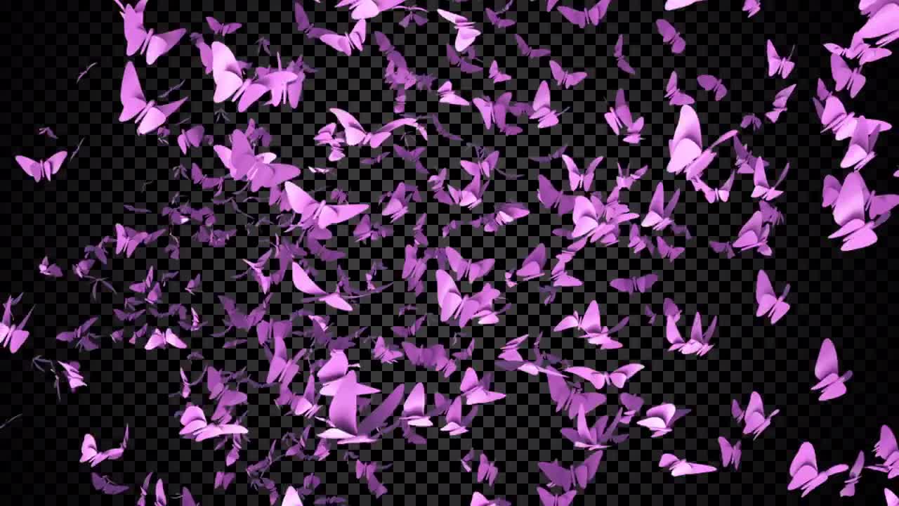 Pink Butterflies Overlay Stock Motion Graphics Motion Array