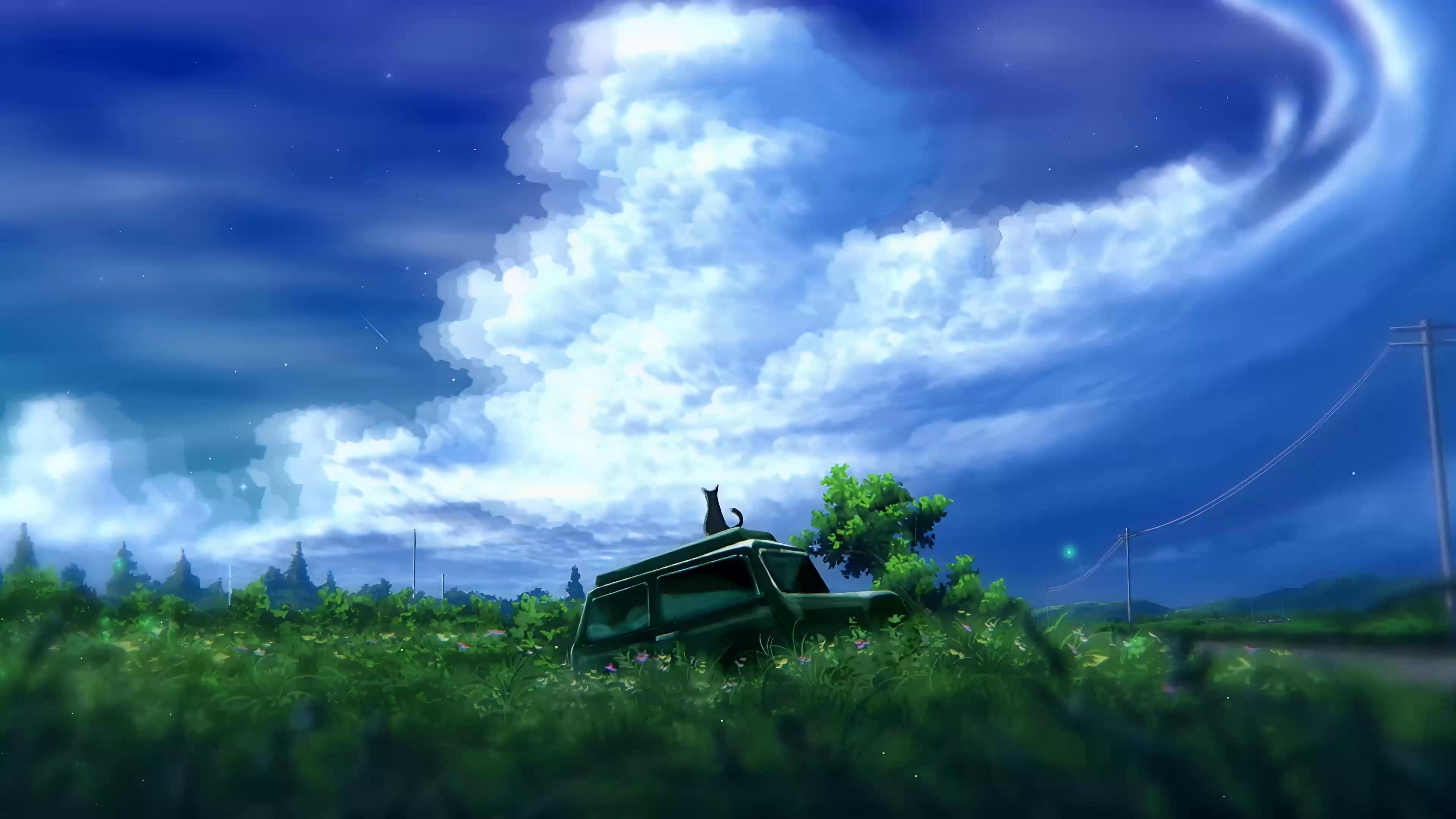 Lost Cat Live Wallpaper