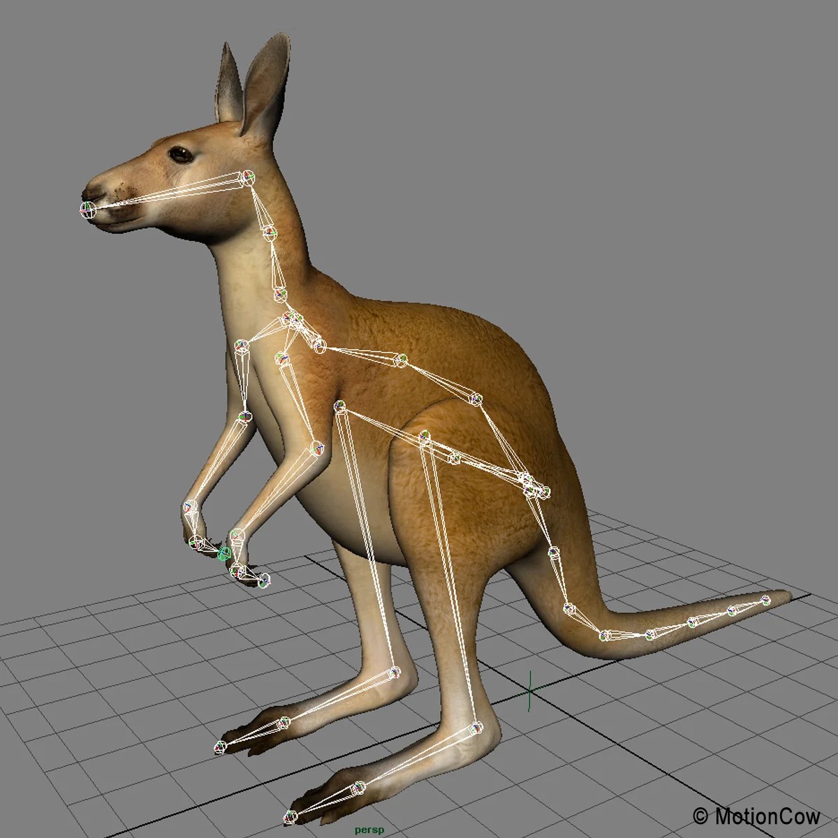 Kangaroo MotionCow