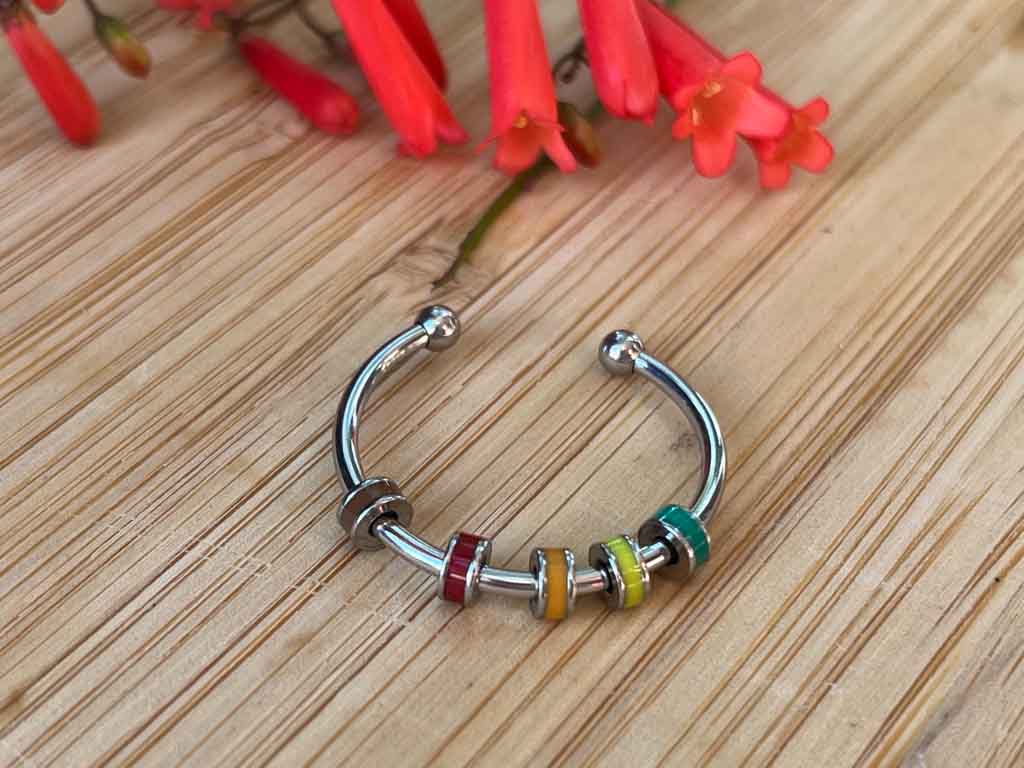 Spinning Enamel Fidget Ring Motion Ring