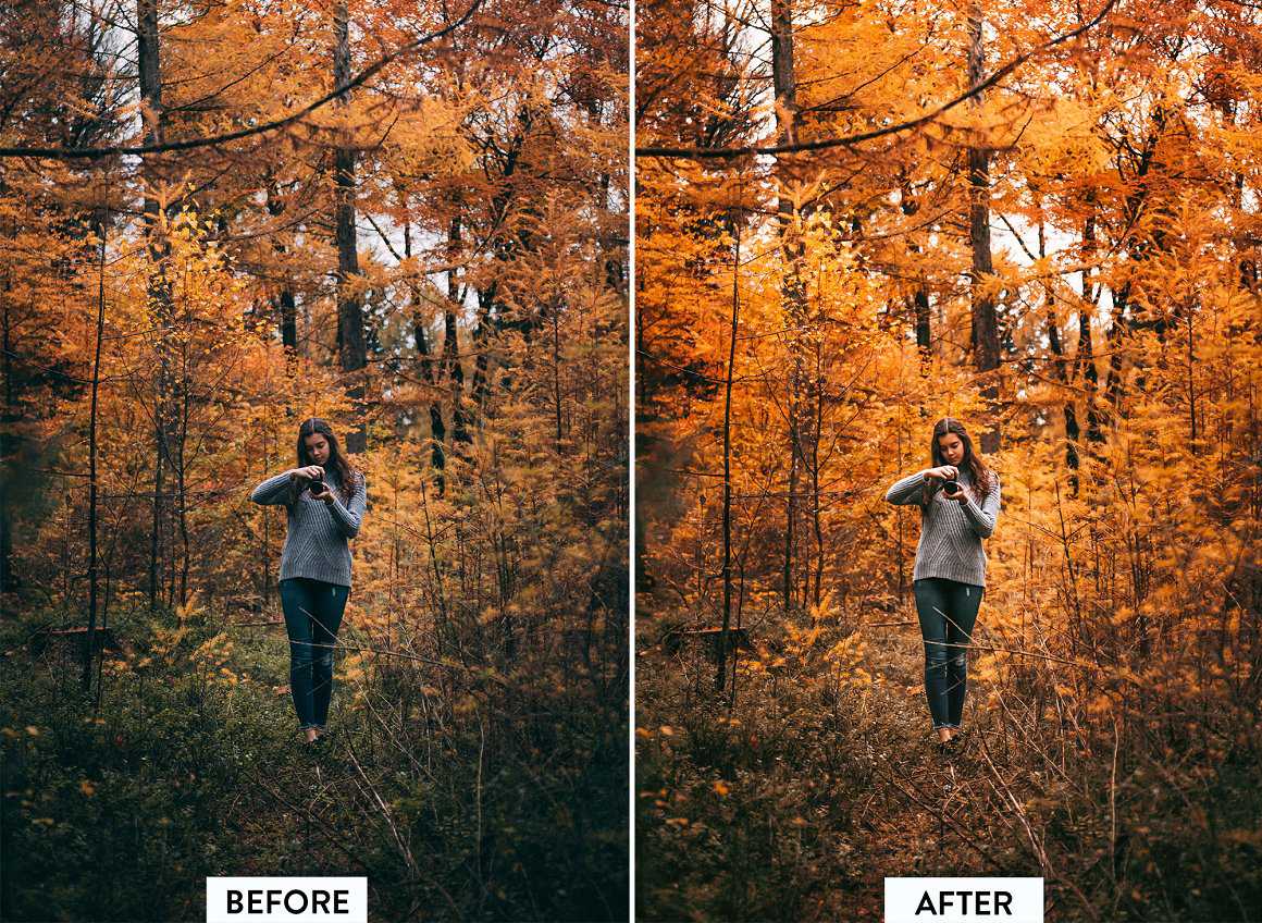 Autumn Lightroom Presets MotionKr