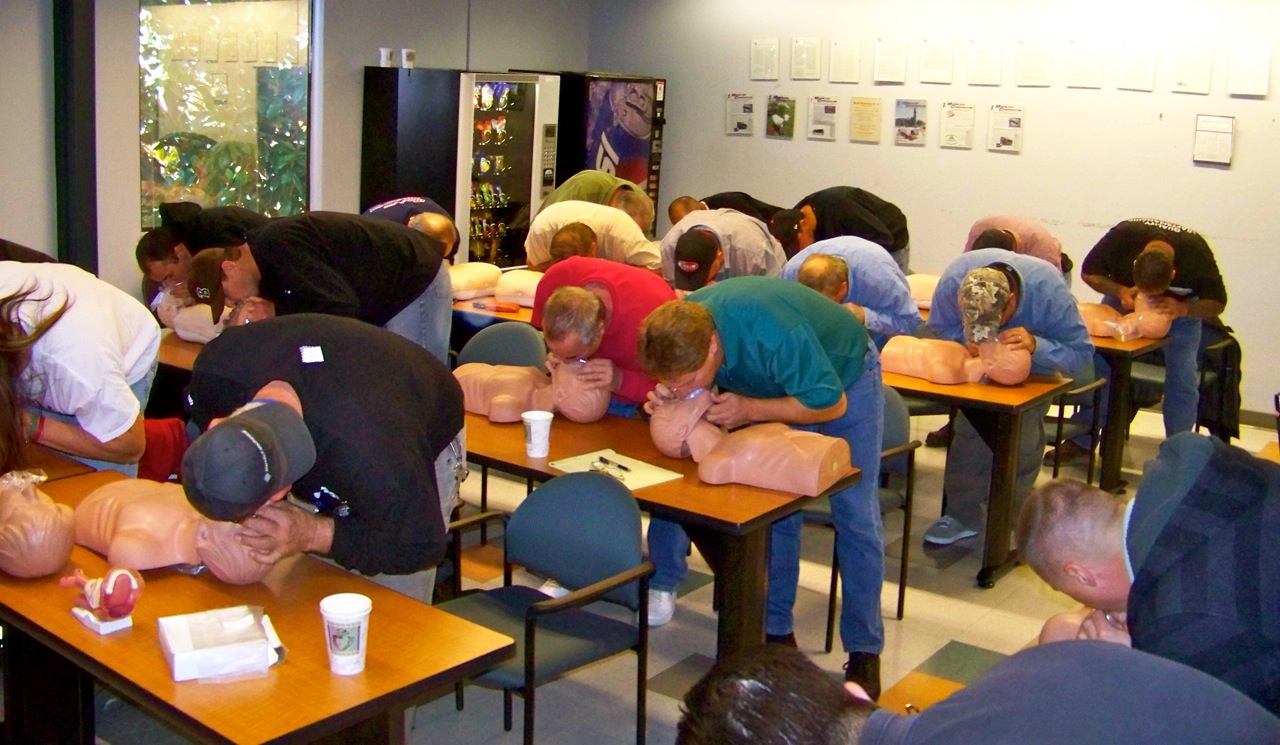 GALLERY CPR FOR DUMMIES