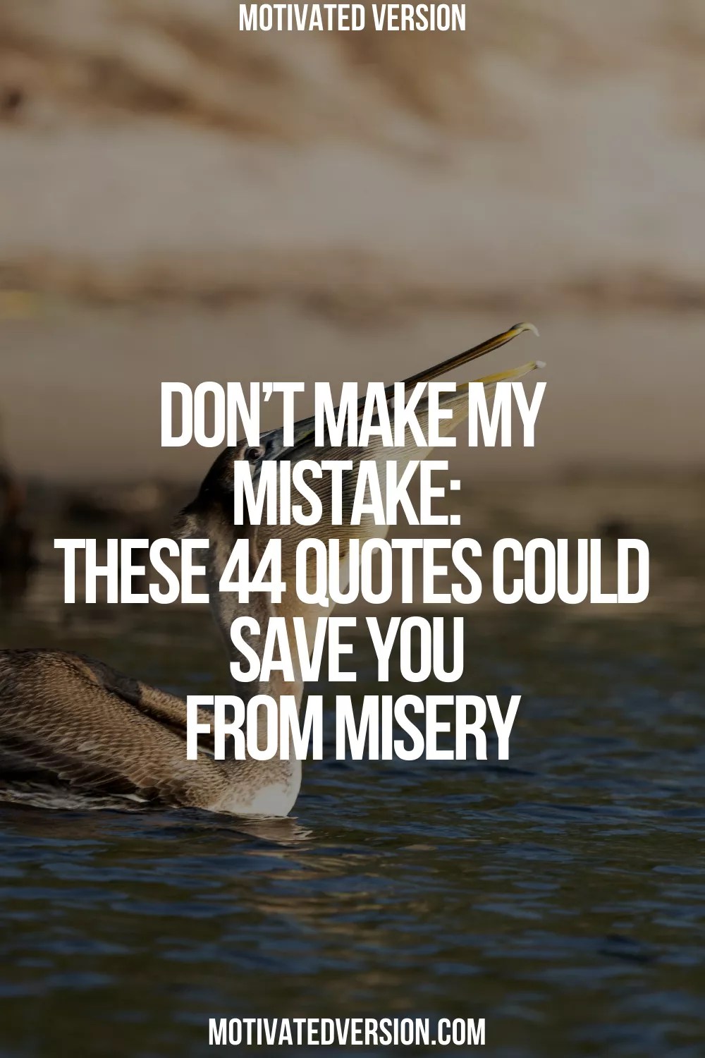 Don’t Make My Mistake These 44 Quotes Could Save You From Misery