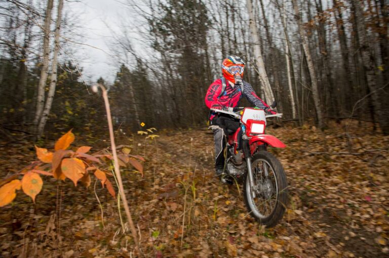 7 Best Beginner Dirt Bikes For Adults That Are Cheap & Reliable