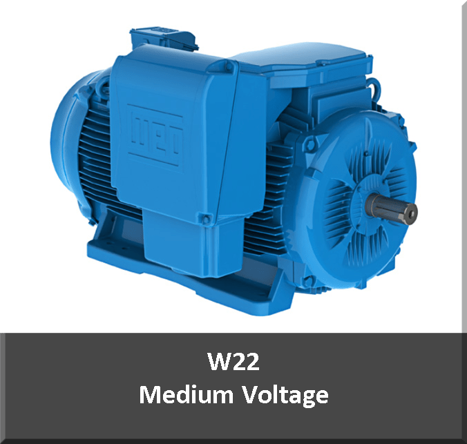Medium Voltage Motors Houston Motor and ControlHouston Motor & Control