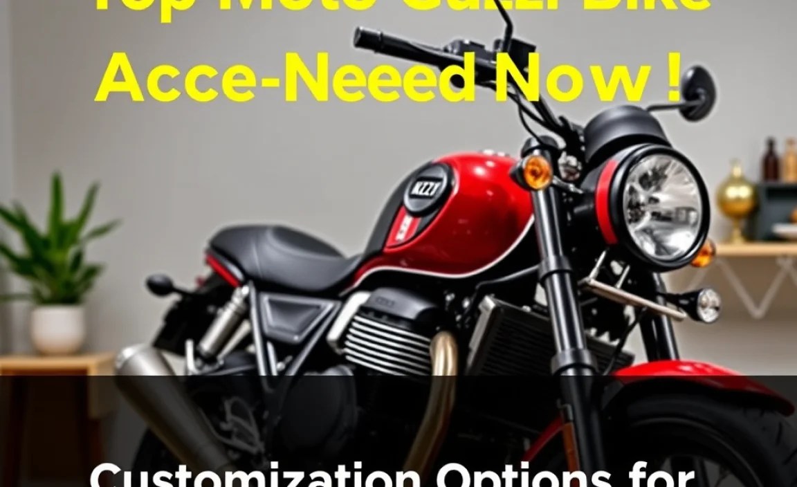 Customization Options for Style and Functionality