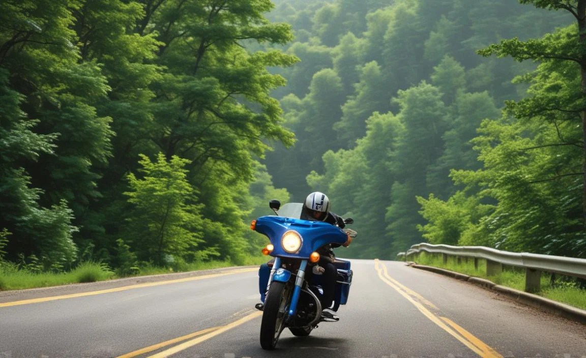 Sample Rally Itineraries (Beginner-Friendly):