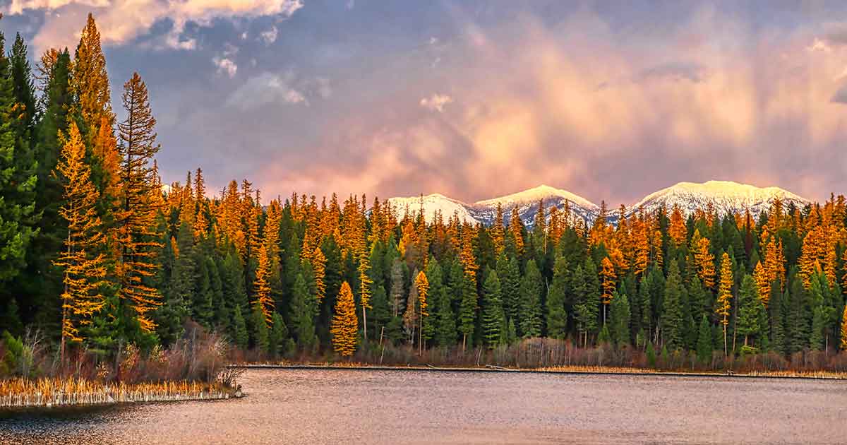 Whitefish Motorcycle Shipping Motorcycle Shippers