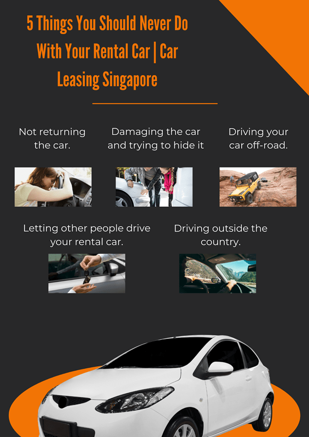 5 Things You Should Never Do With Your Rental Car Motor Snippets