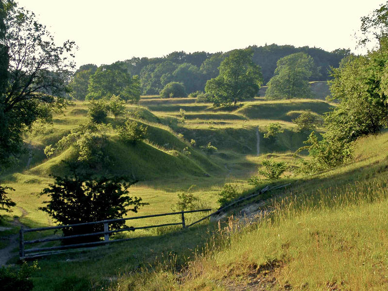Kort om Pride och det offentliga rummets sexualisering Motpol.nu