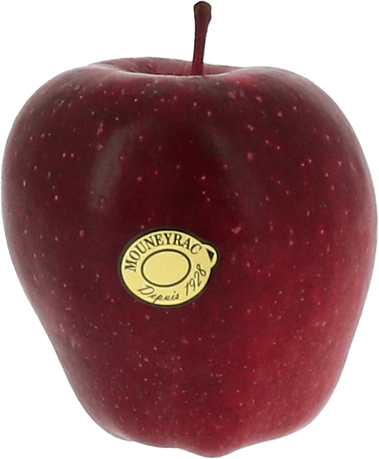 Les classiques Red Chief Produit Mouneyrac