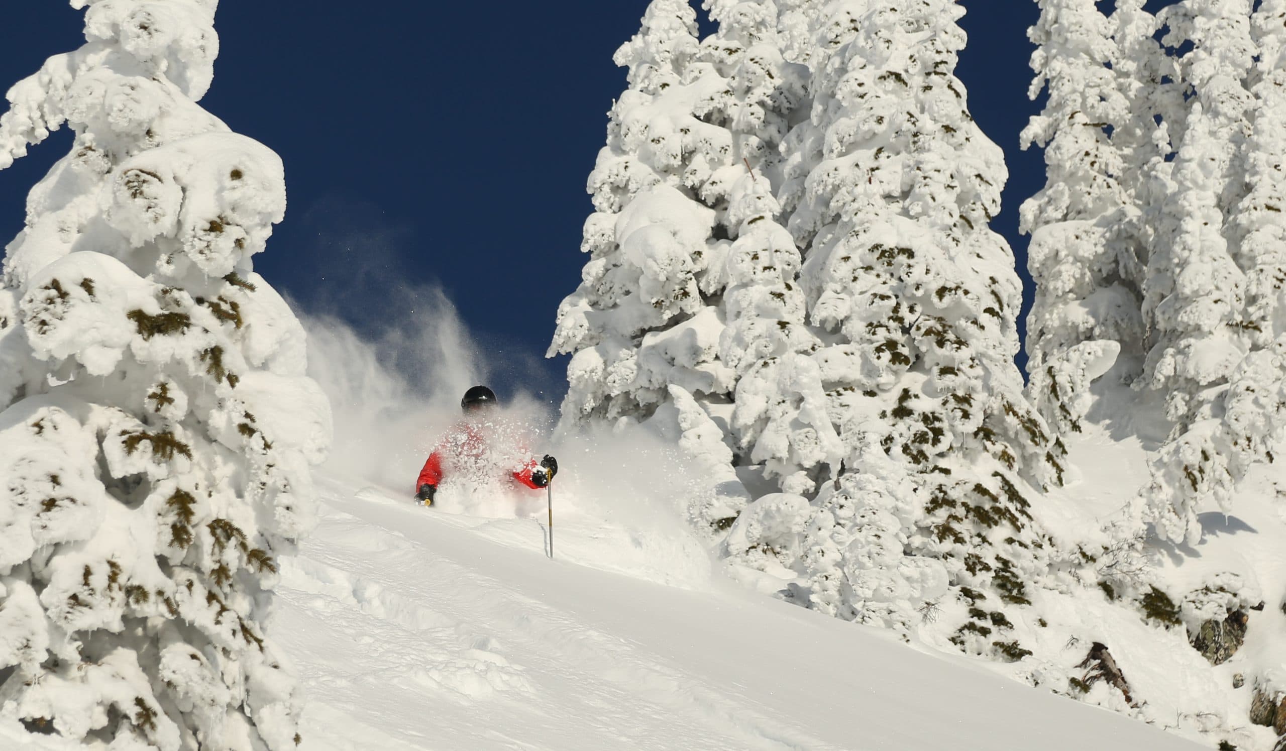 Powder Skiing Ski Guiding AST Courses Ski Touring Mountain Addicts