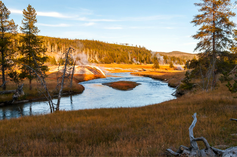 Yellowstone Wildlife Lodging Tour TopRated
