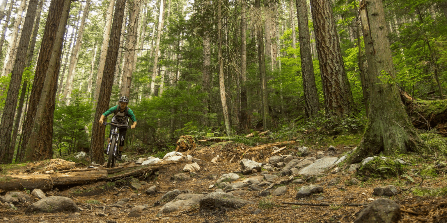 8 Best Mountain Bike Trails In Pennsylvania Mountain Bikes Ride