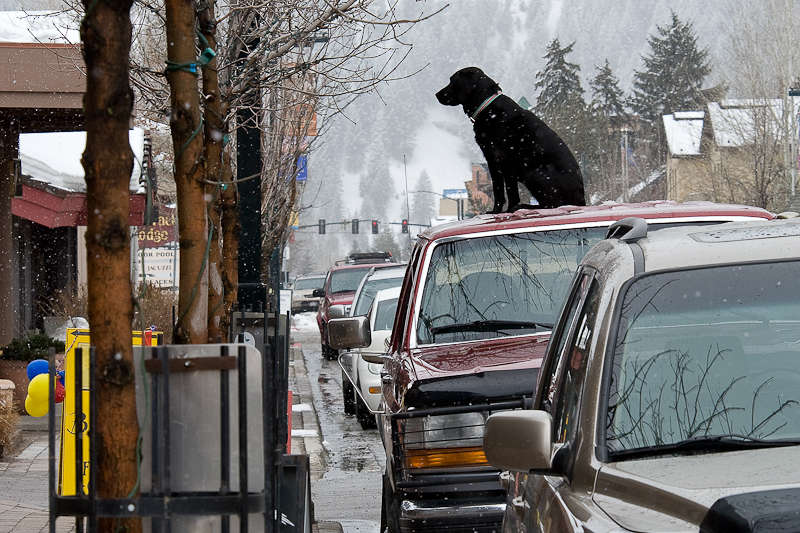 Jobs in Sun Valley + Ketchum