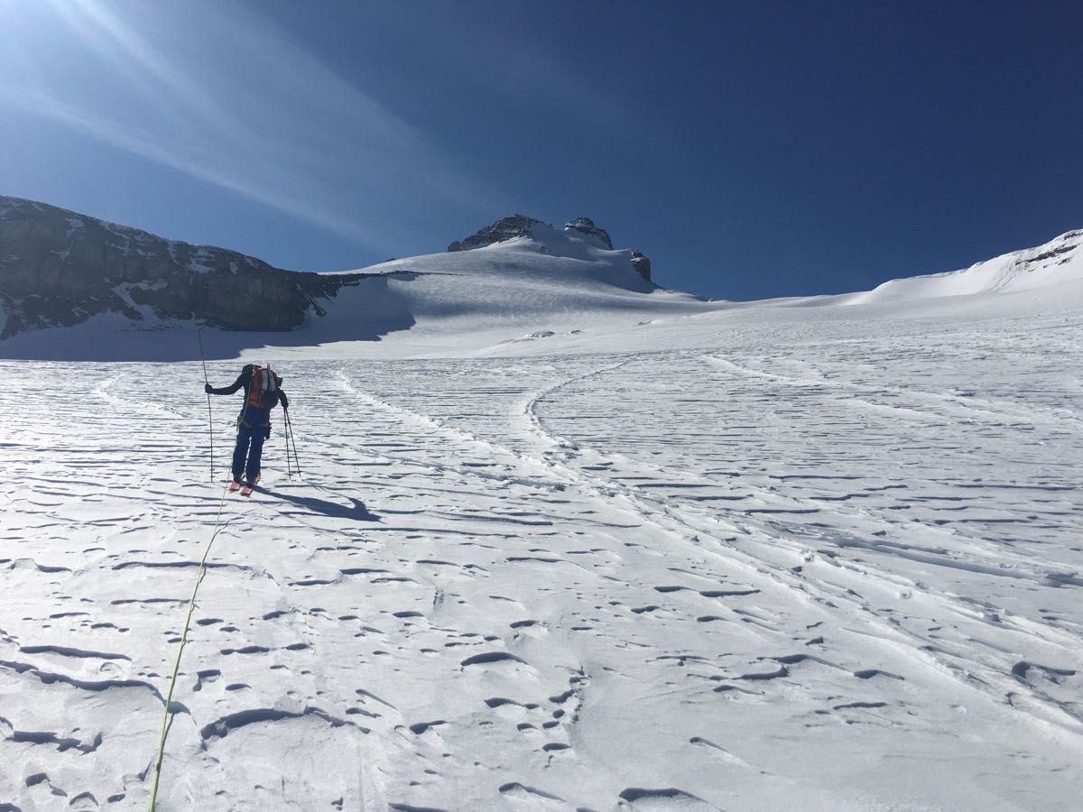 Ski Touring Mount Hector Mountain Conditions Report