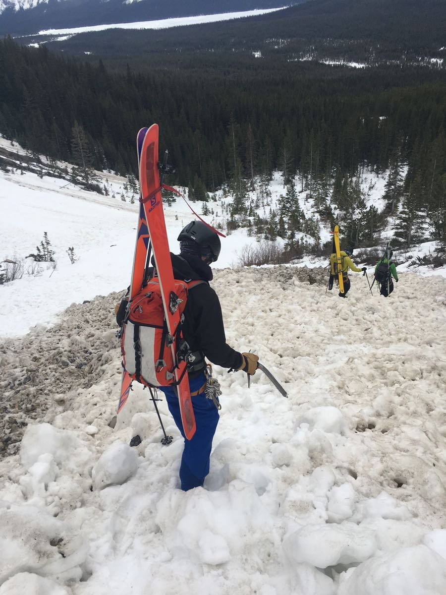 Ski Touring Mount Hector Mountain Conditions Report