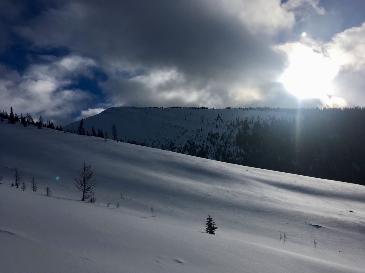 Decent Snowshoeing Conditions up At Rummel Ridge Mountain Conditions