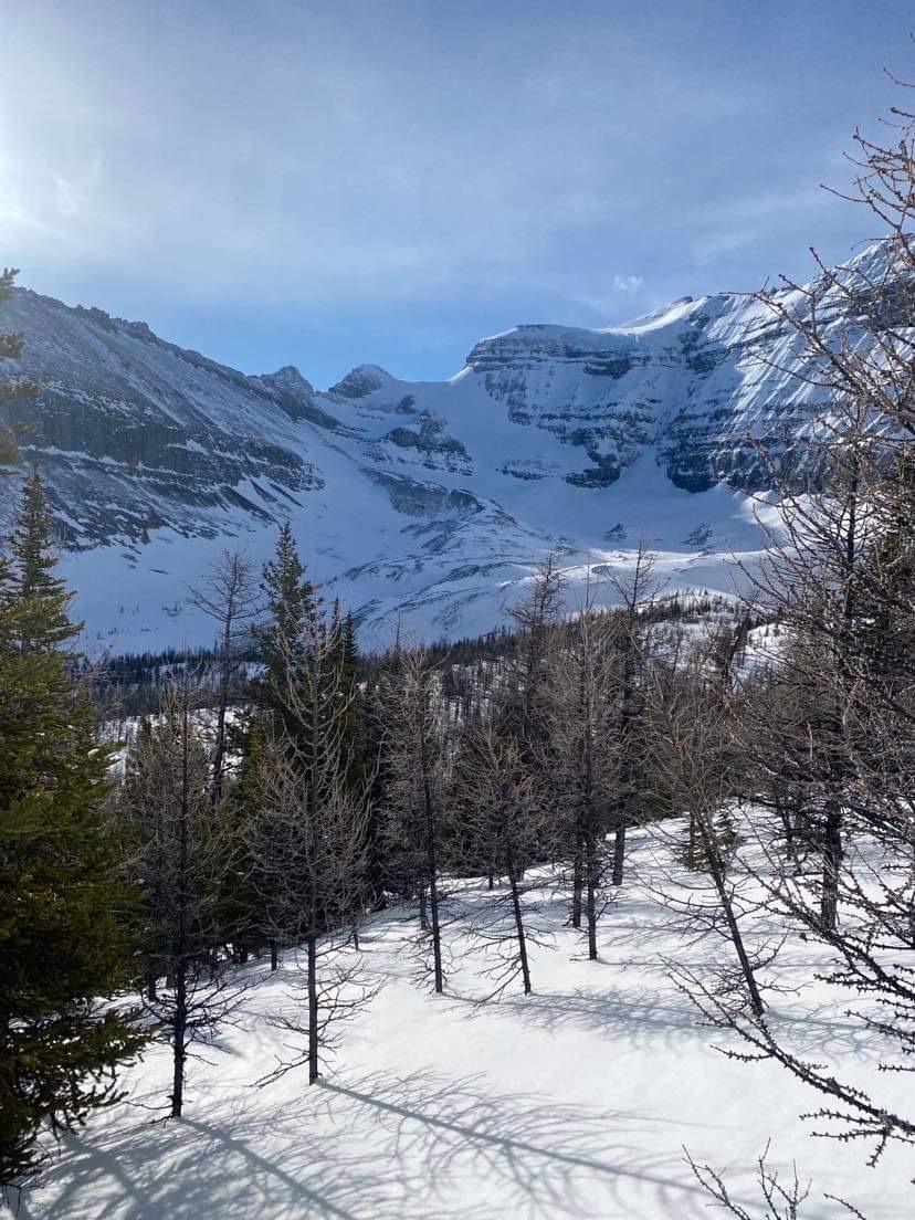 Lake Louise & 93N Conditions Mountain Conditions Report