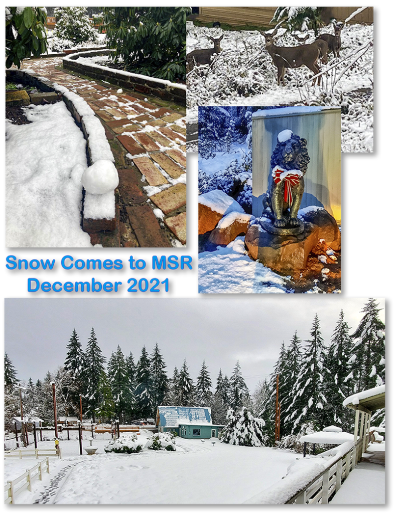 2021 MSR Snow Mountaindale Sun Resort