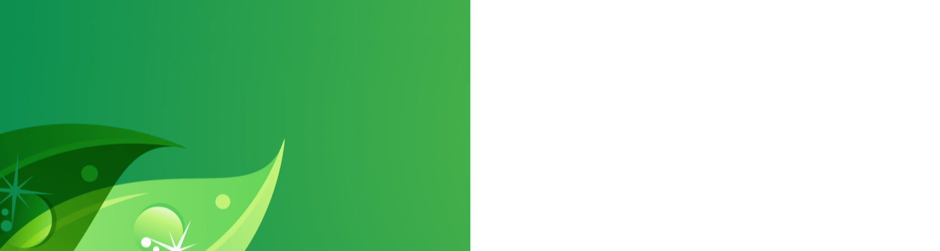 WV Professional Carpet & Upholstery Cleaning