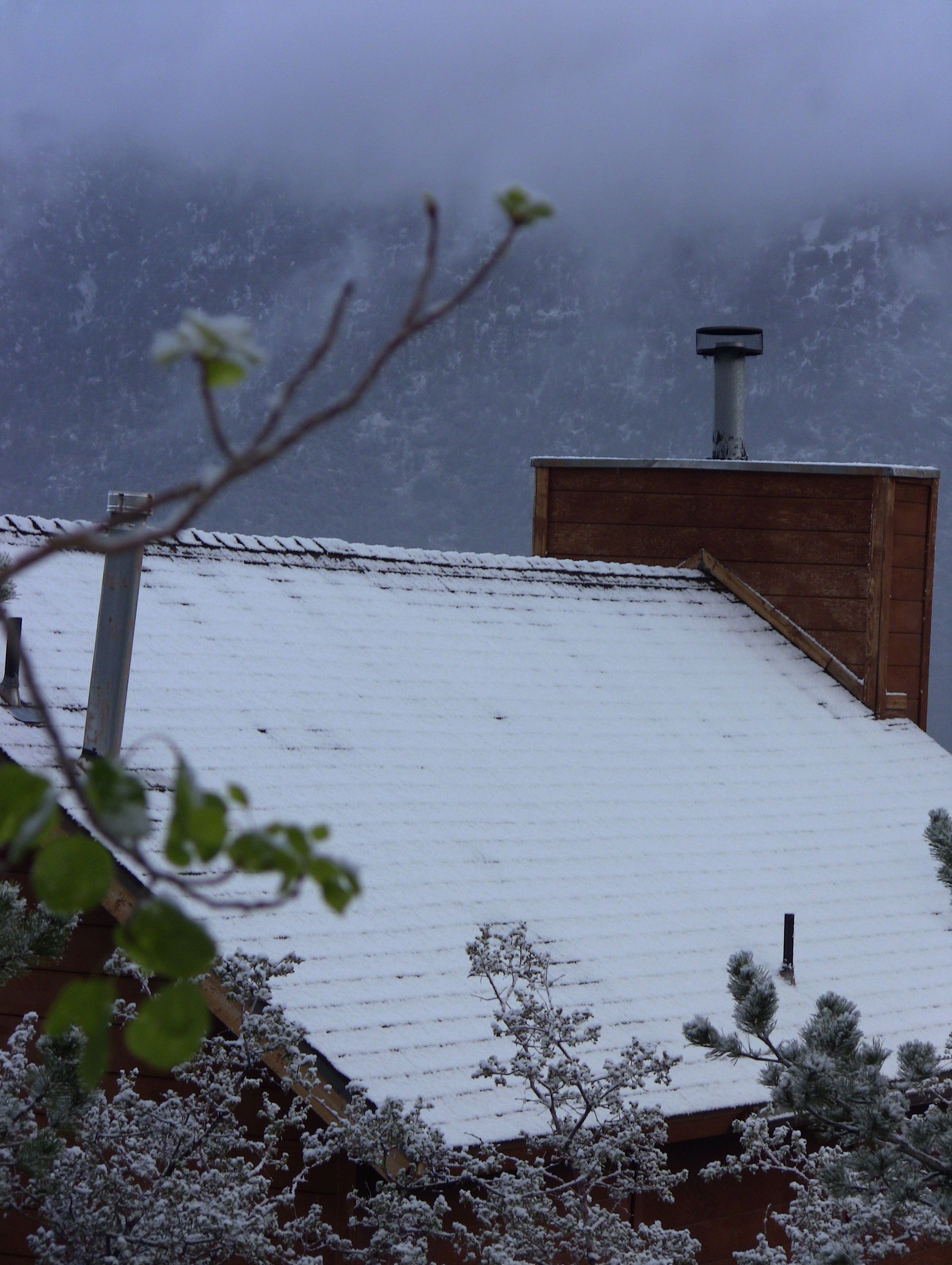 IMG_6505 The Mountain Enterprise