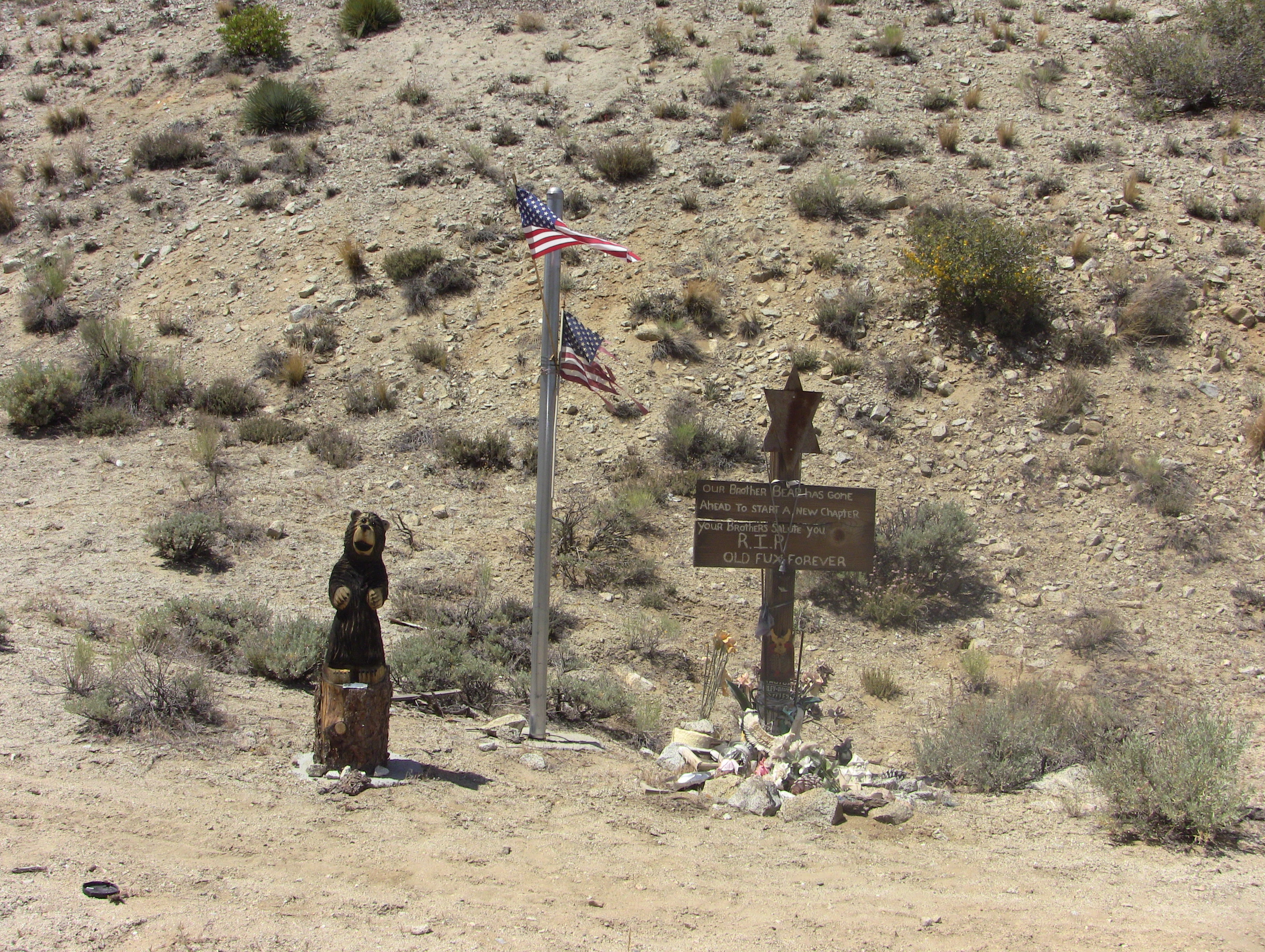 IMG_6887 The Mountain Enterprise