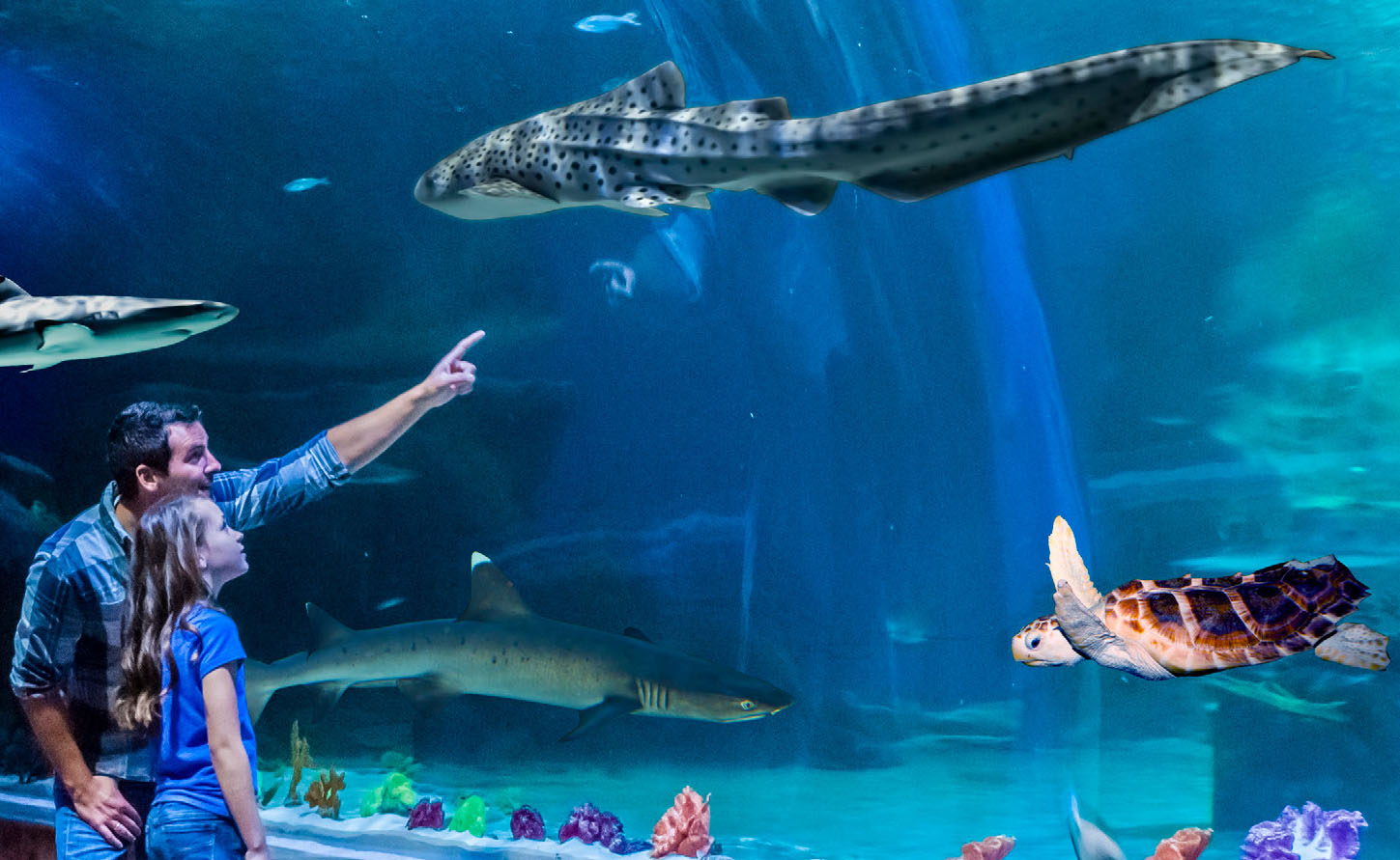 Explore a Subantartic Island at Utah's Aquarium Mountain Express Magazine