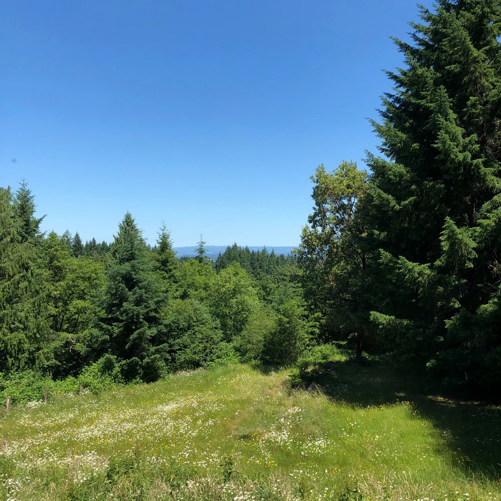 Is Your Soap Safe for Greywater Systems? Mountain Girl Essentials®